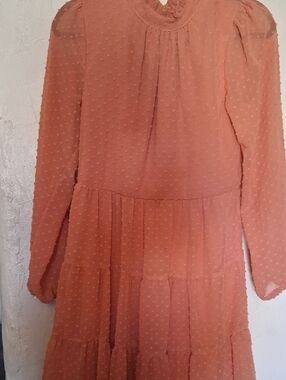 Textured Swiss Dot Tiered Long Sleeve Dress — Peach